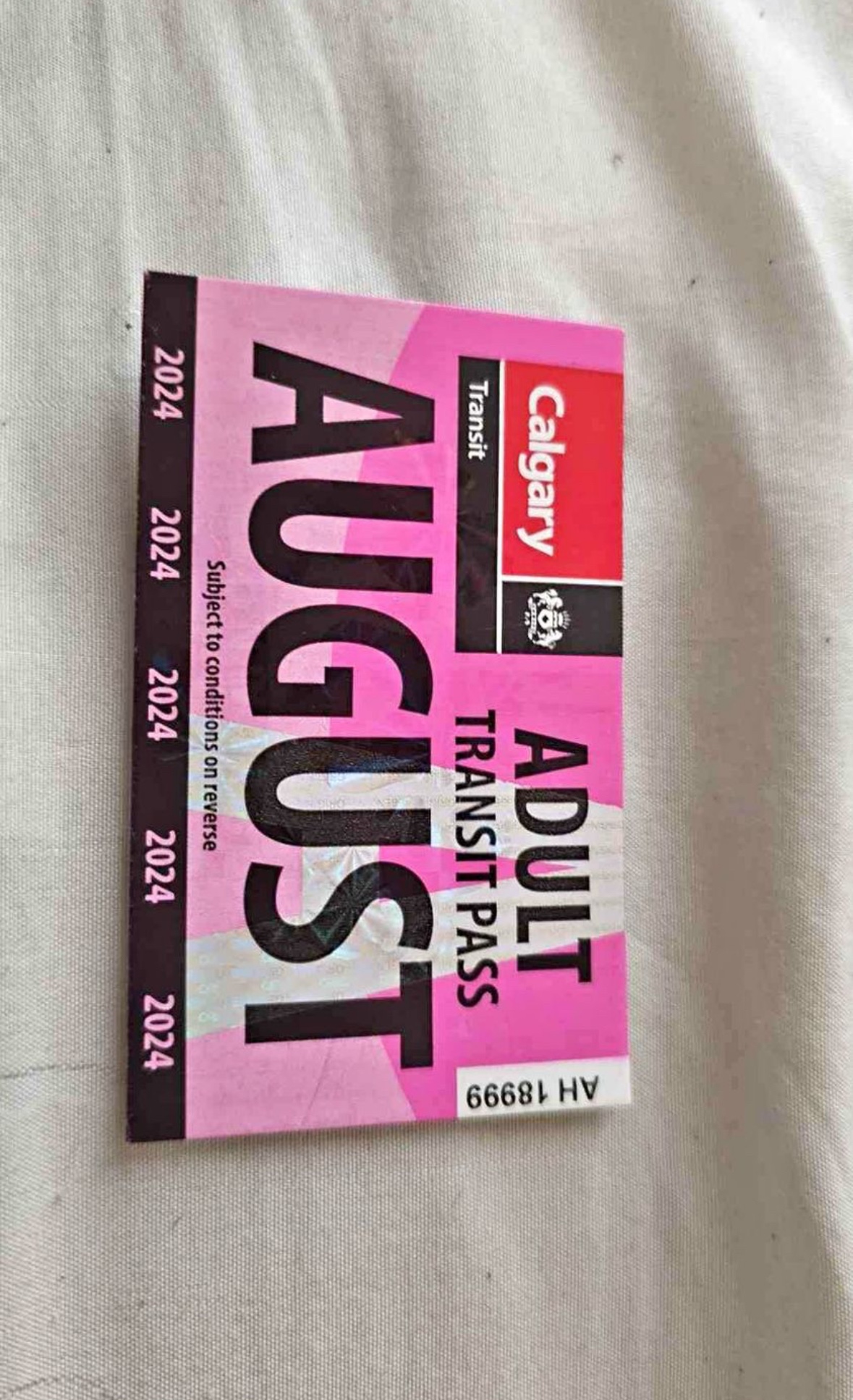 Adult bus pass