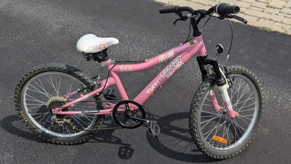 20" Pink Mountain Bike