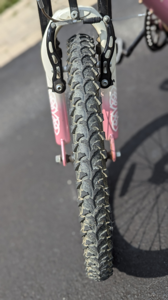 20" Pink Mountain Bike - photo 5