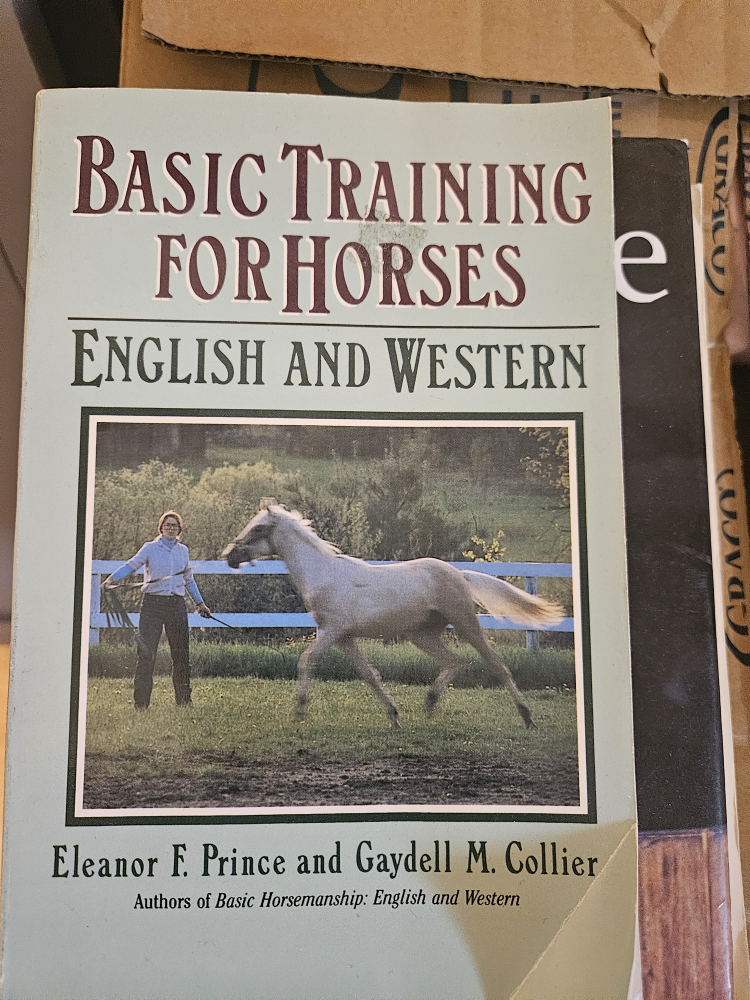Horse Books - Set of 3