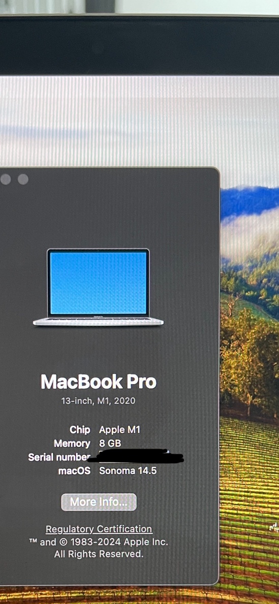 MacBook Pro M1 13in 8GB RAM/512 GB SSD - photo 4