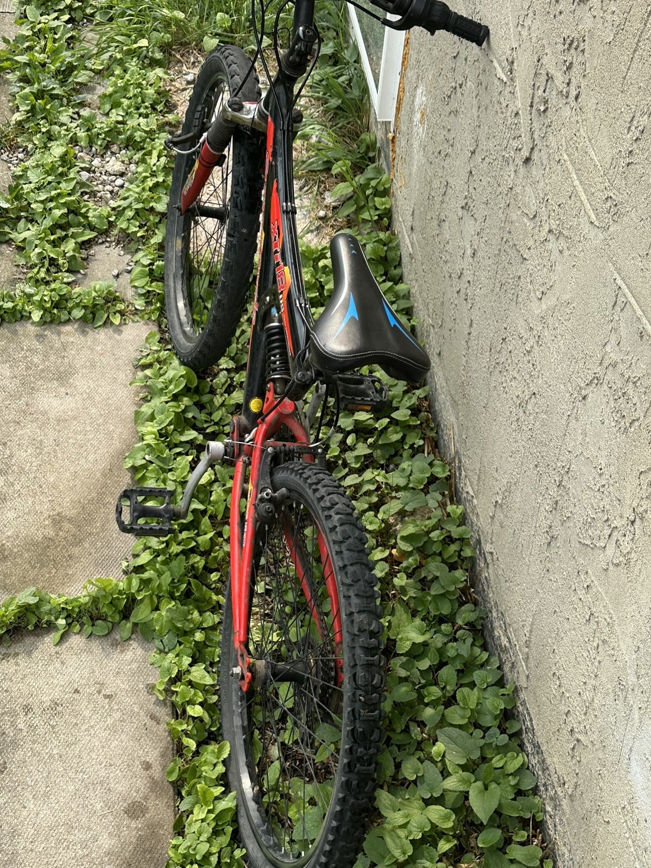 Bike for sale - photo 2