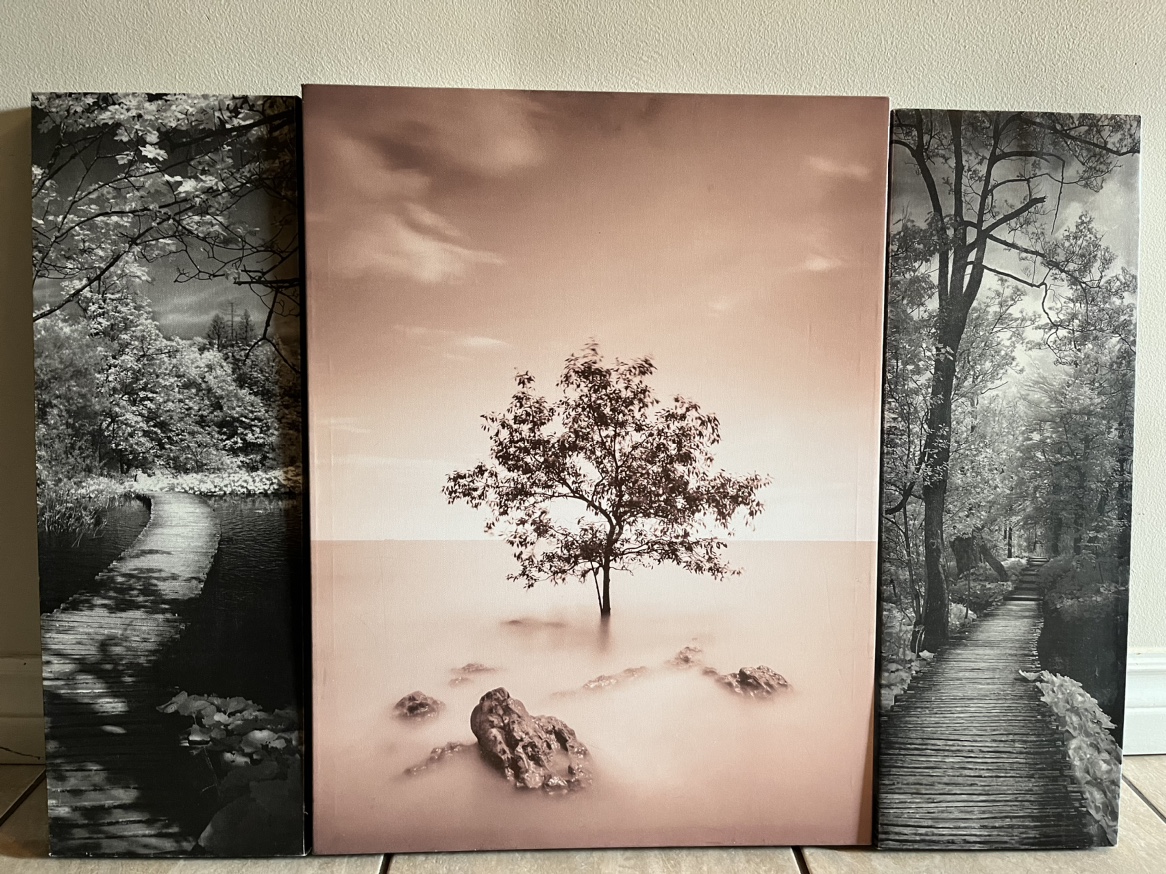 Painting image indicator(2)