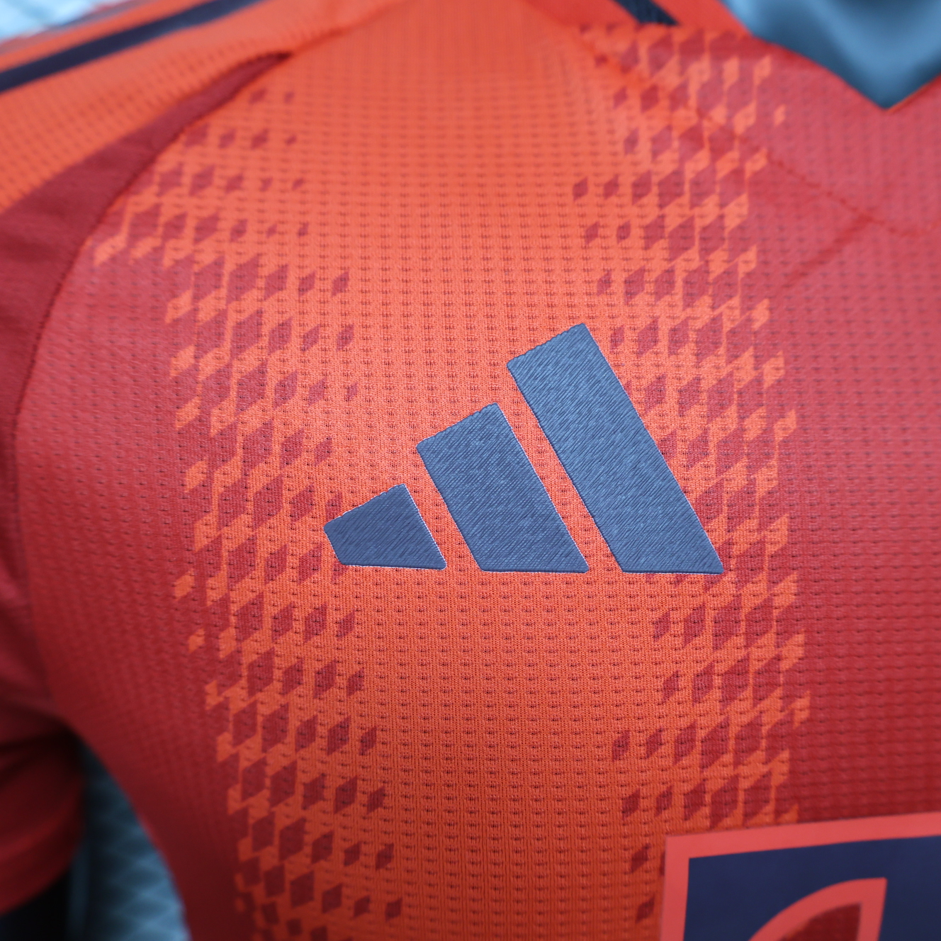 Bayern Munich 24/25 season official jersey - photo 5