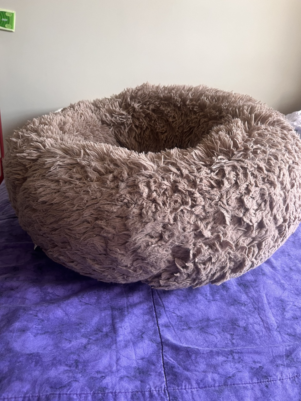 Dog Bed image indicator(2)