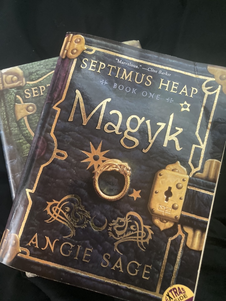 Septimus Heap - Books 1&2 (take both for $15) thumbnail