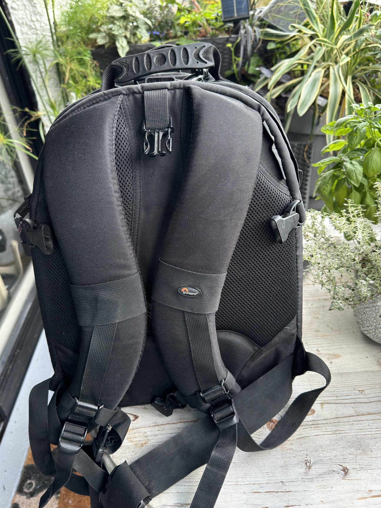Lowepro camera+laptop backpack - photo 2