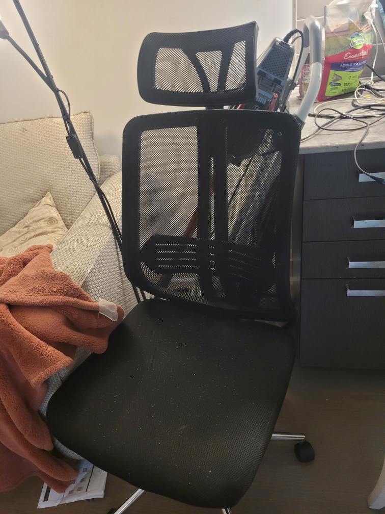 desk chair #freecycle