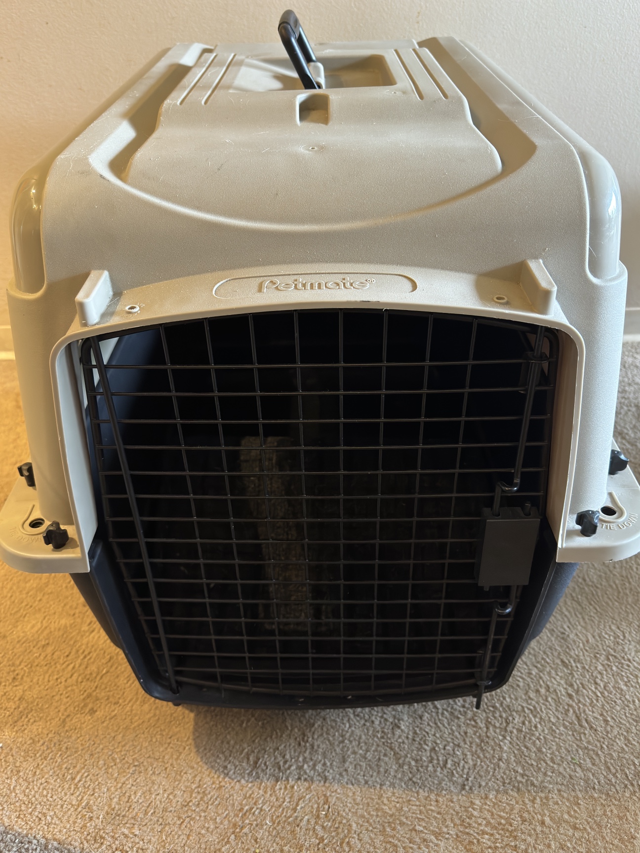 Petmate dog carrier (Medium - up to 30 pounds) VERY CLEAN - photo 2