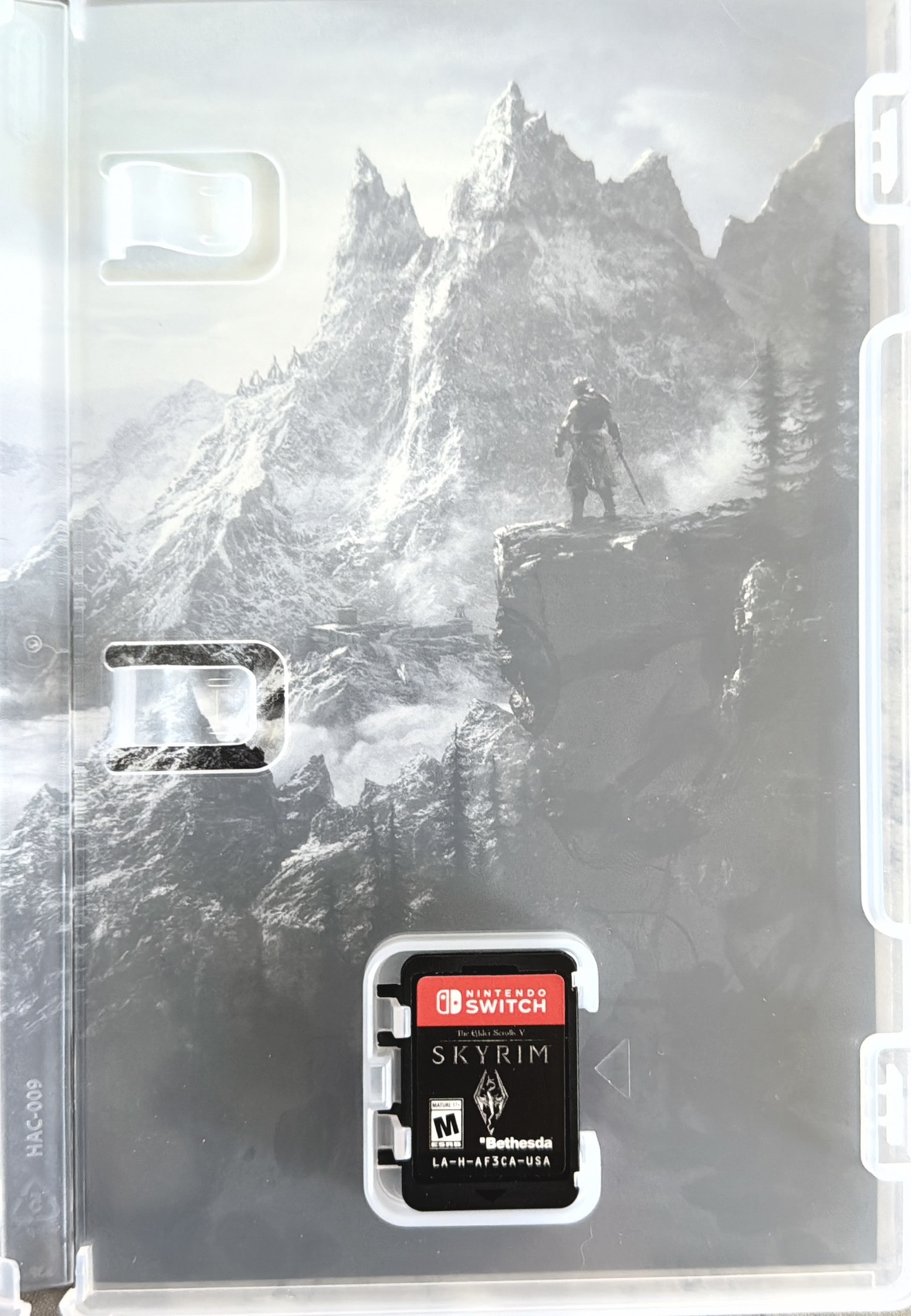 The Elder Scrolls V: Skyrim (Nintendo Switch) image indicator(2)