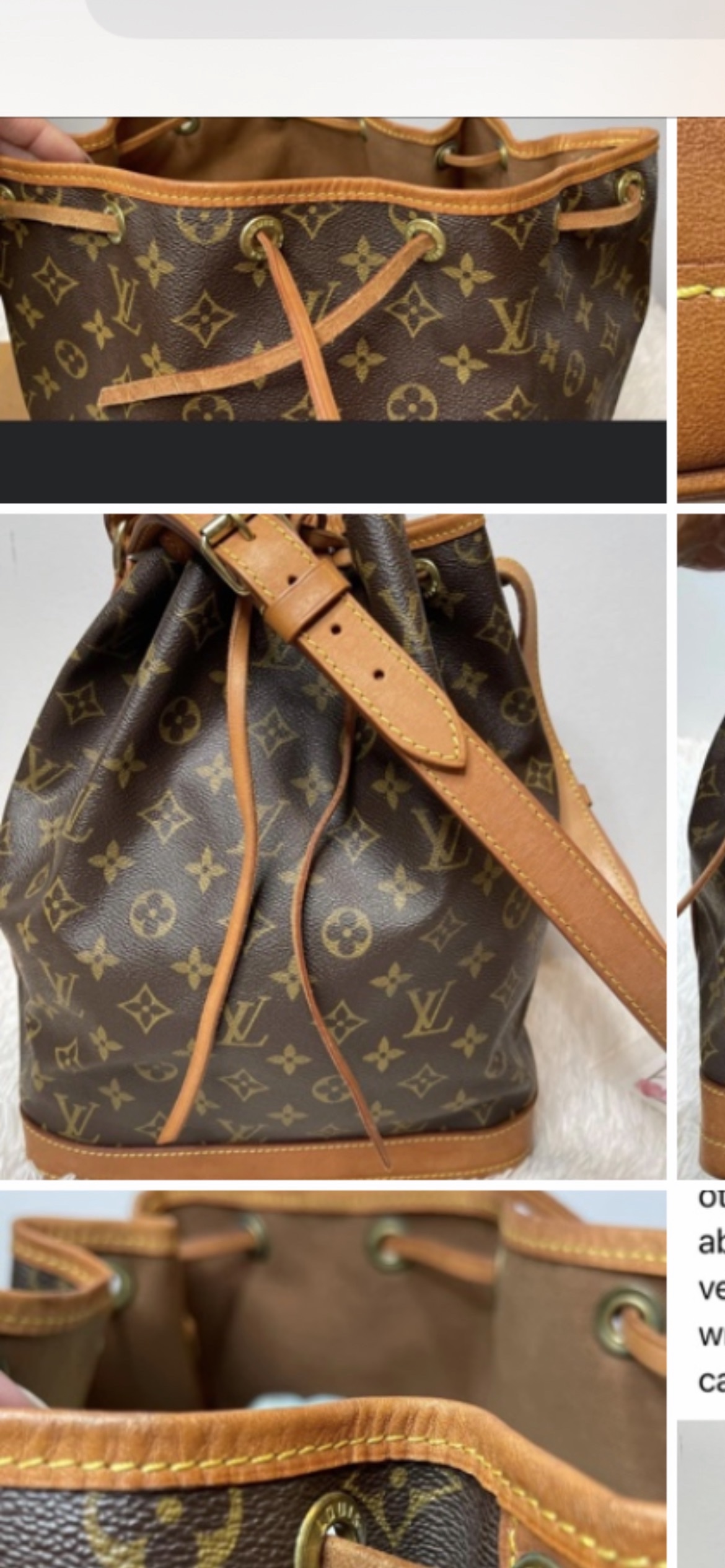 Louis Vuitton monogram bucket