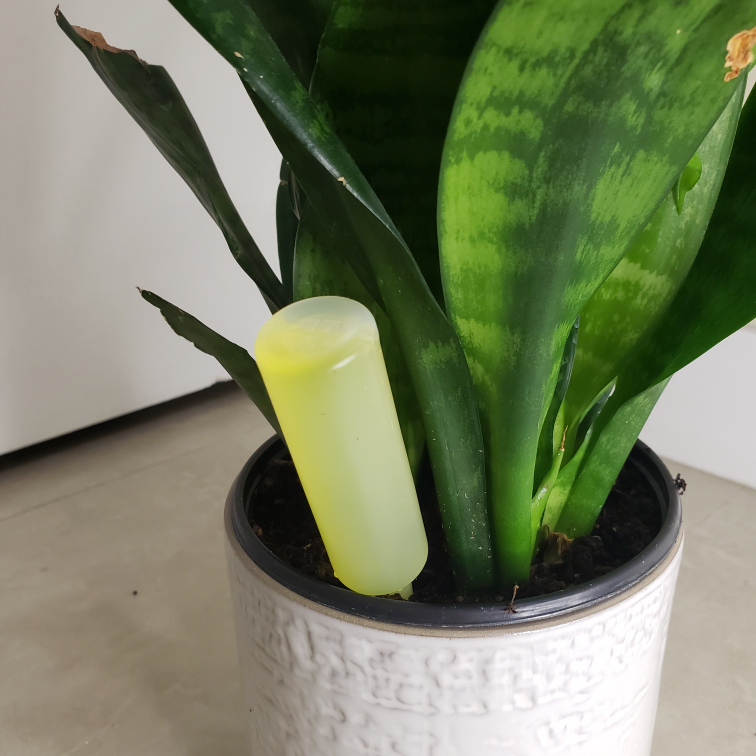 【Ikea】interior plant and plant pot (sansevieria) - photo 2