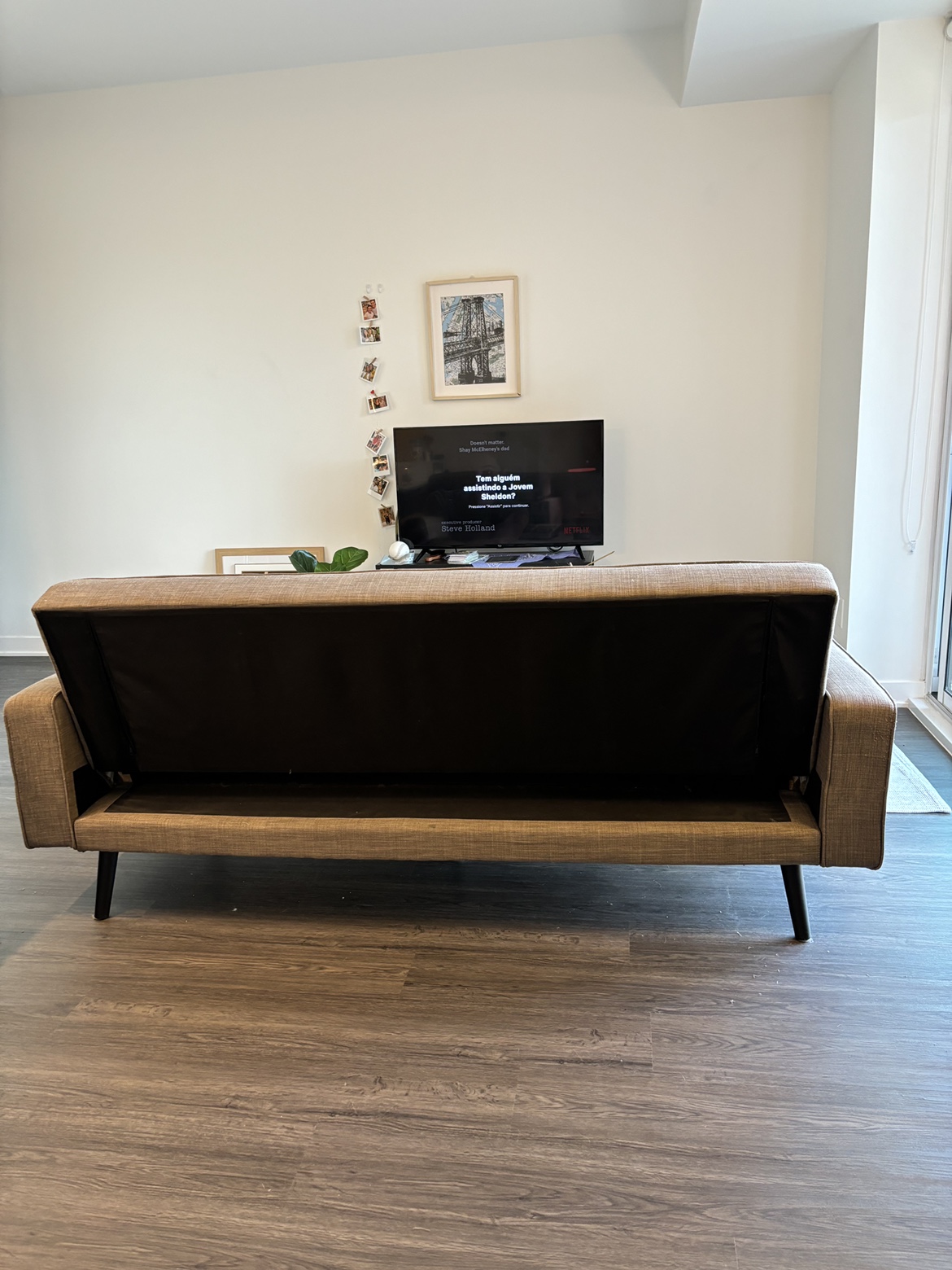 Sofa bed couch - FINAL PRICE❗️ PICK UP SATURDAY! image indicator(4)