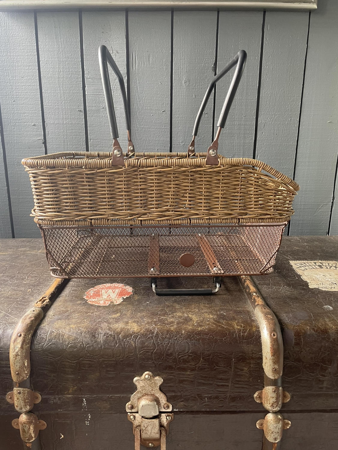 Axiom bike basket