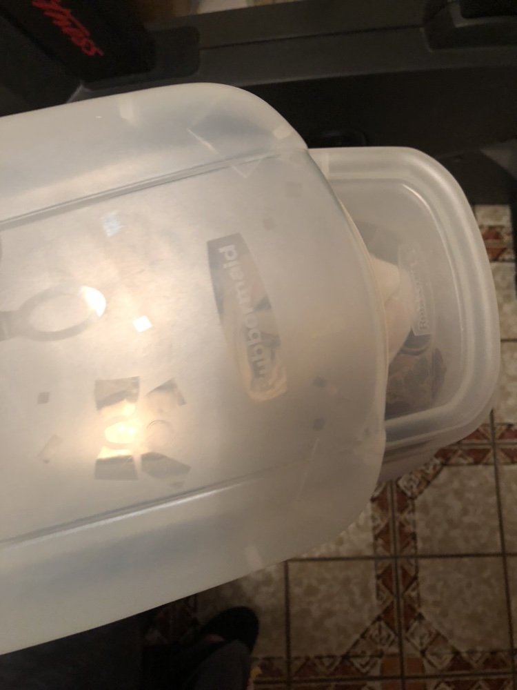 Large Clear Storage Container by Rubbermaid image indicator(4)