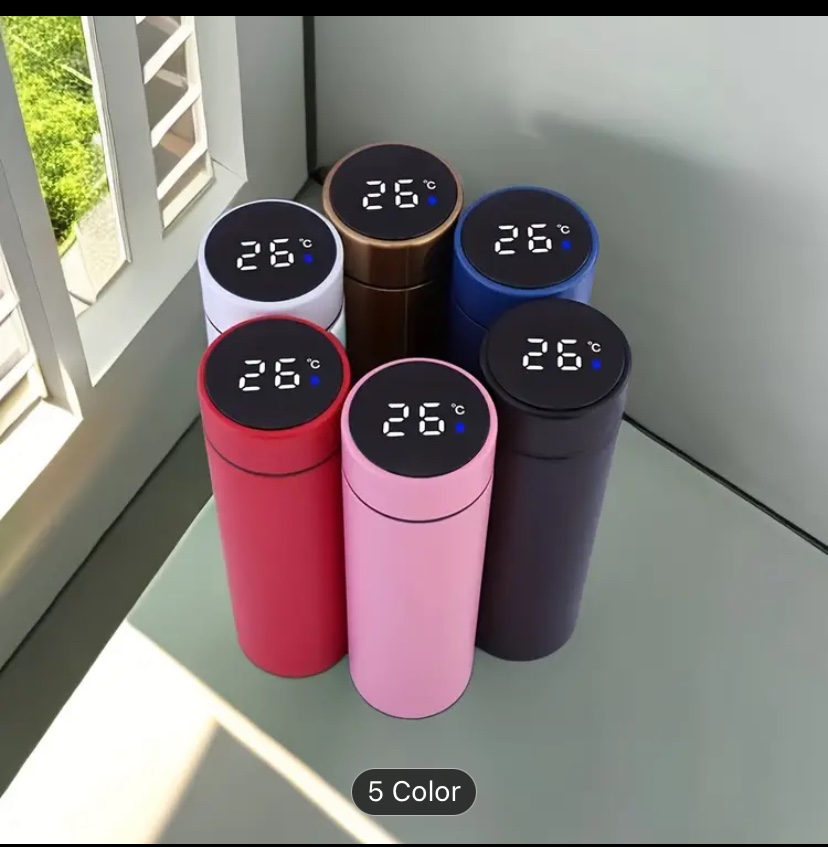 16.90 oz Temperature Display Water Bottle