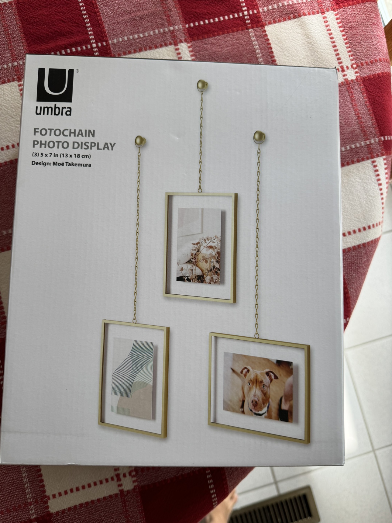 Umbra Fotochain Photo Display