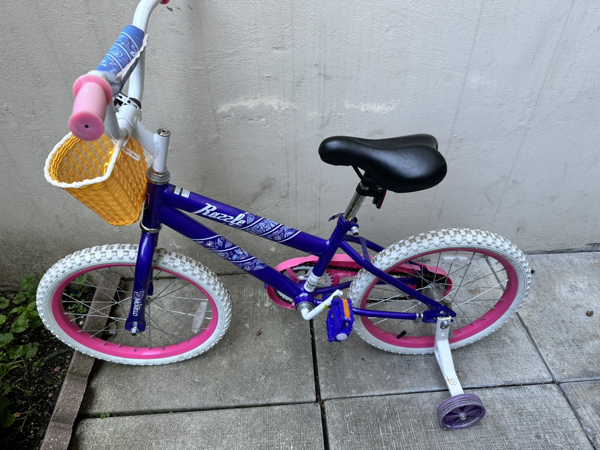 Kids bike image indicator(2)