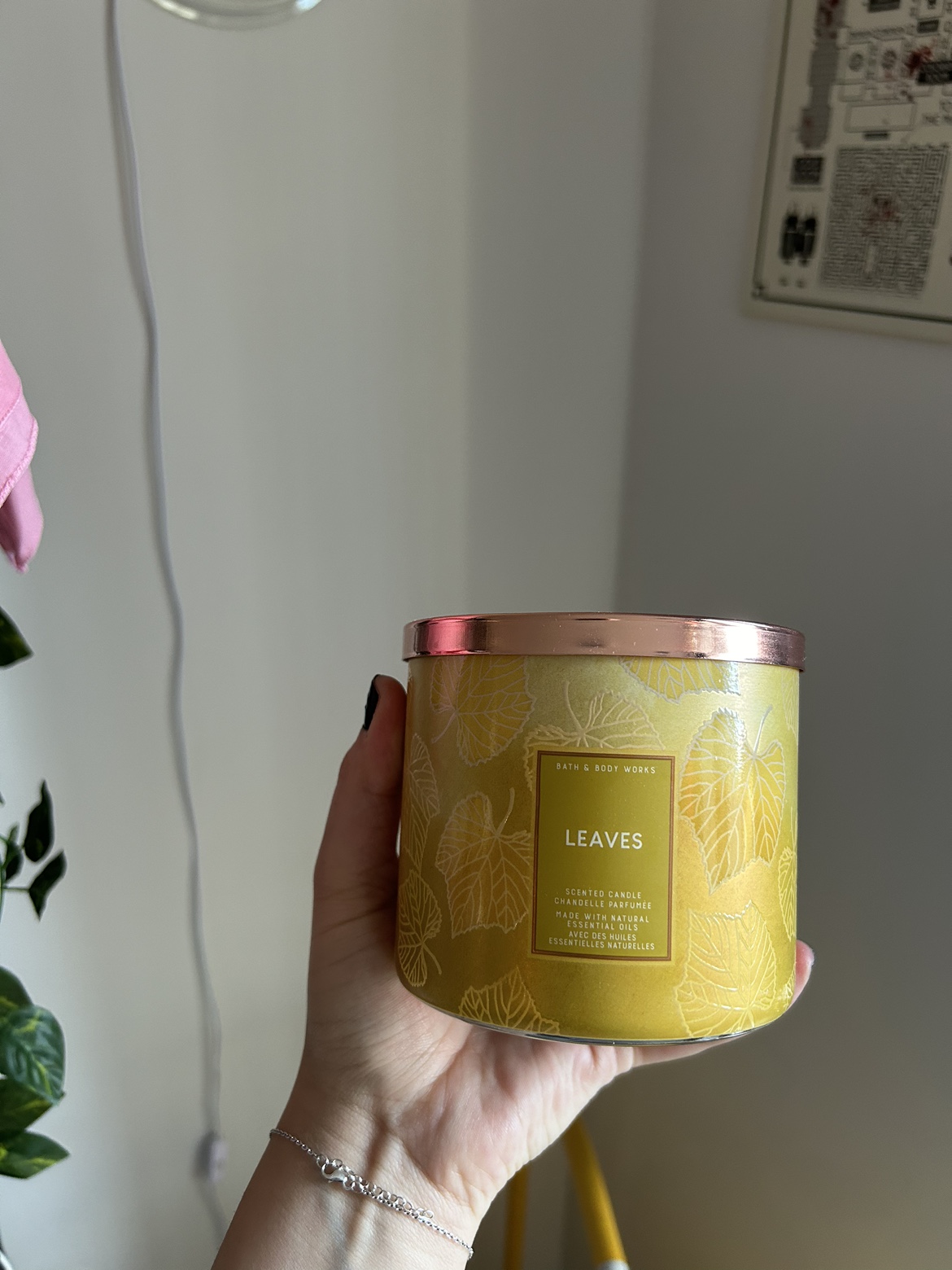 Assorted Candles image indicator(4)