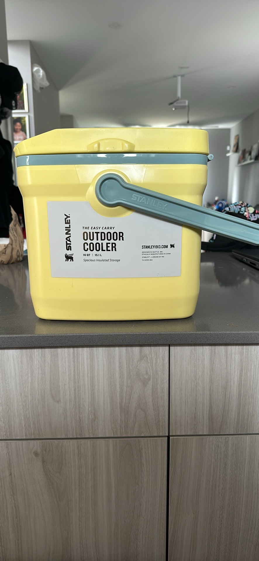 Stanley Cooler - photo 2