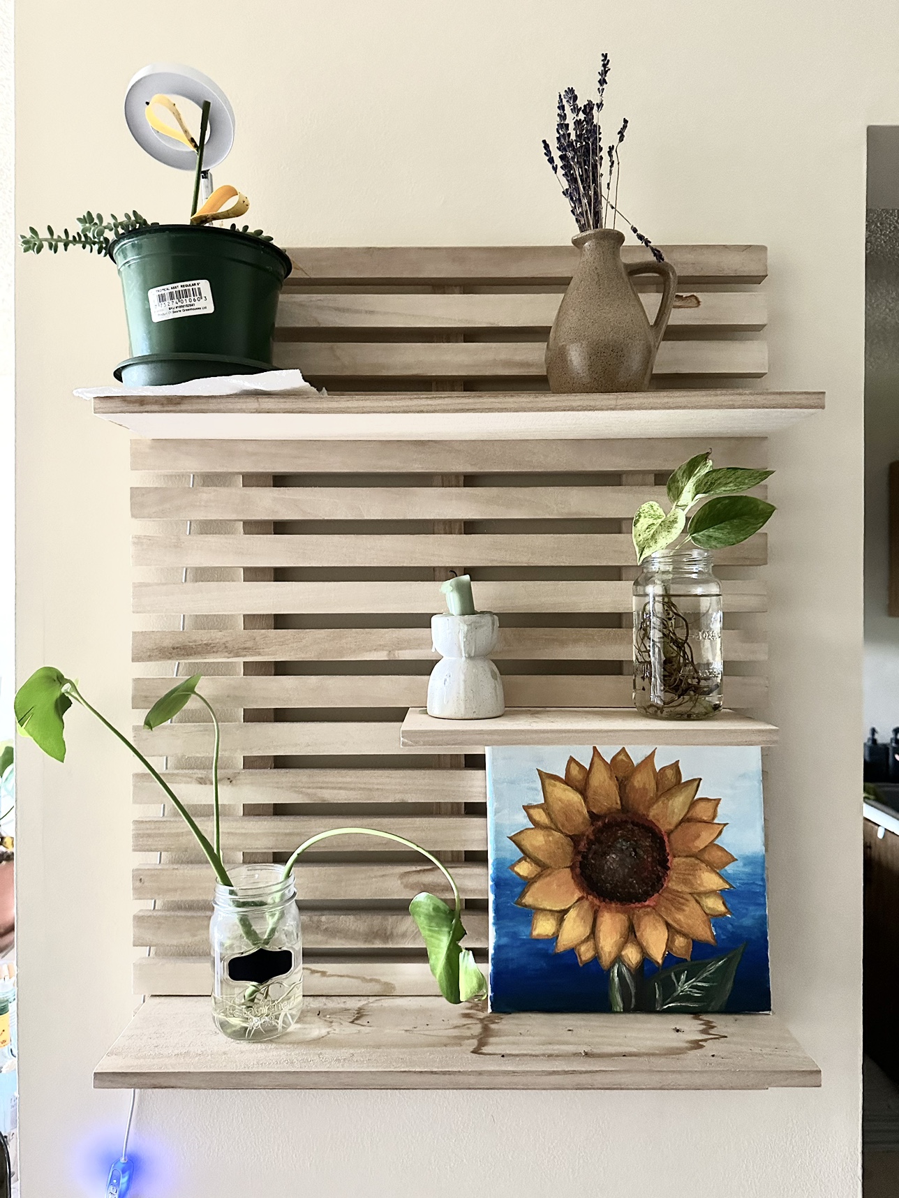Plant Wall Shelf