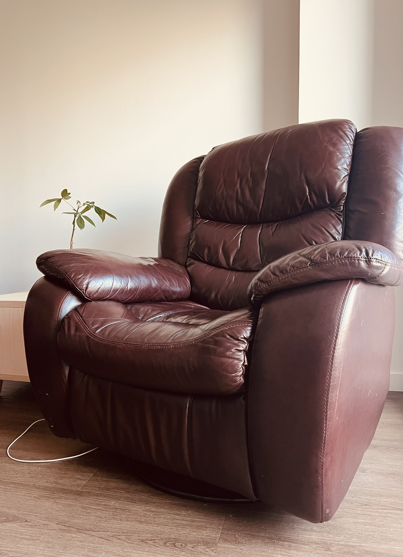Lazy boy sofa