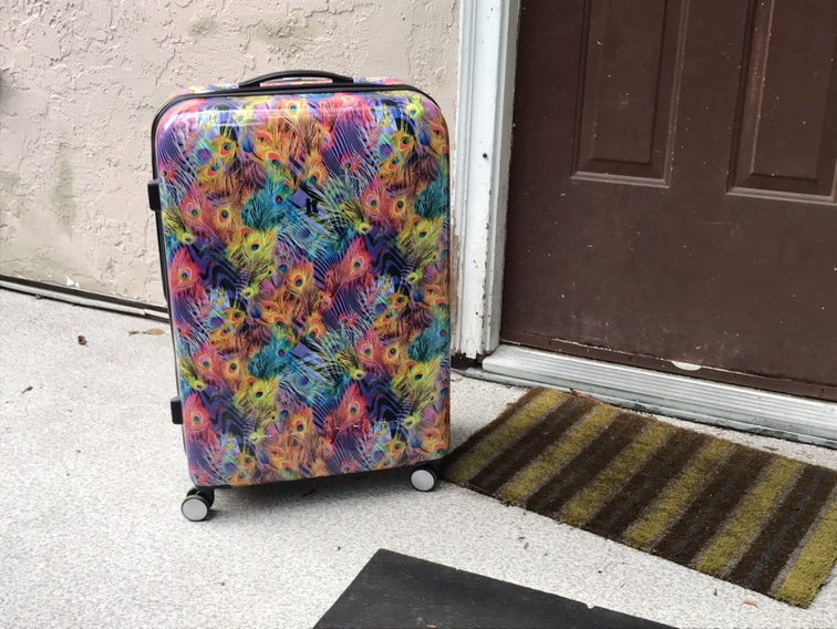 IT Suitcase [Peacock Design] - photo 2