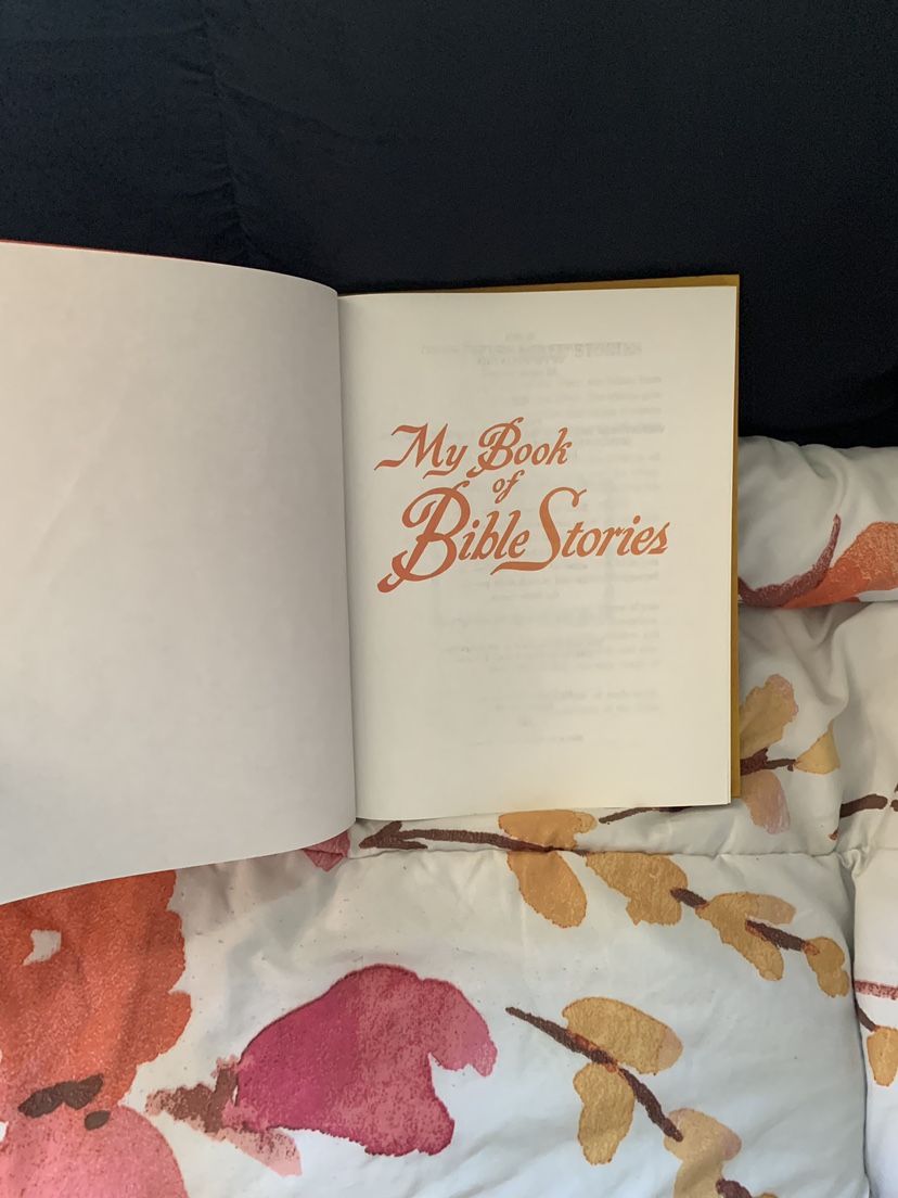 My Book of Bible Stories - photo 2
