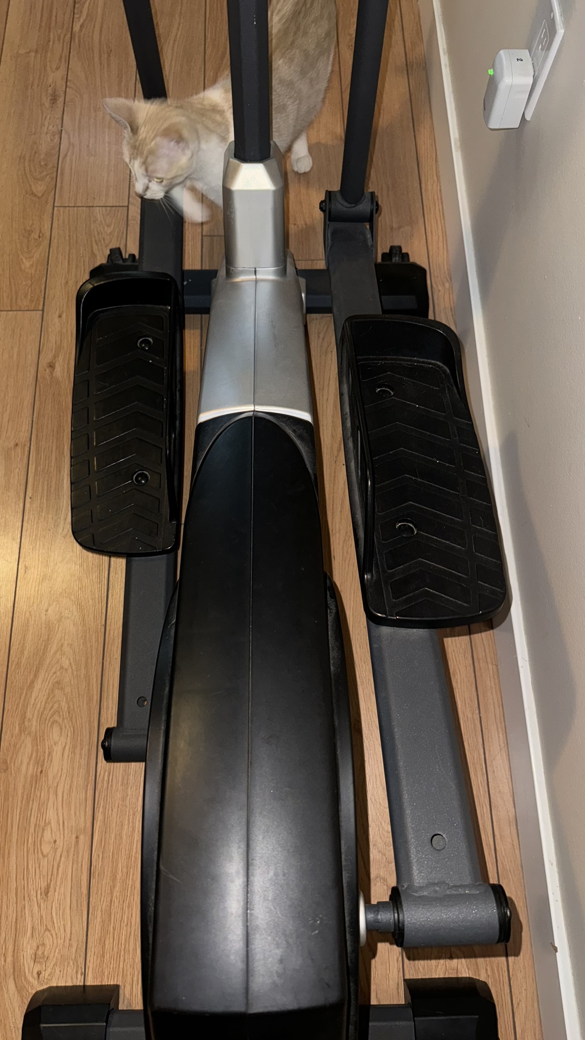 Elliptical machine - photo 4