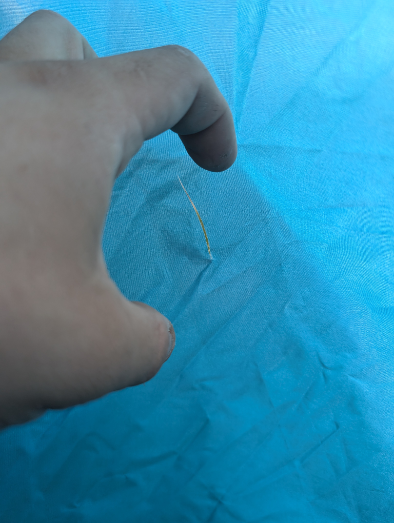 Coleman tent for 8 people, used in a good condition image indicator(8)