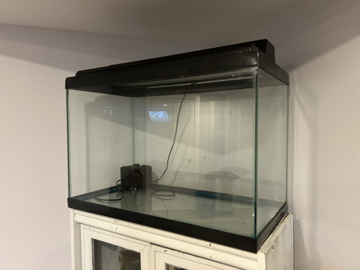 20 Gal Fish Tank With Sponge Filter thumbnail