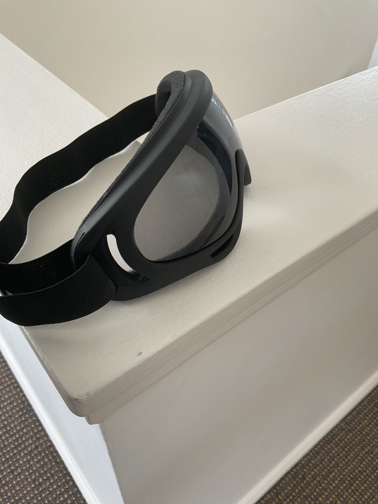 Snow googles