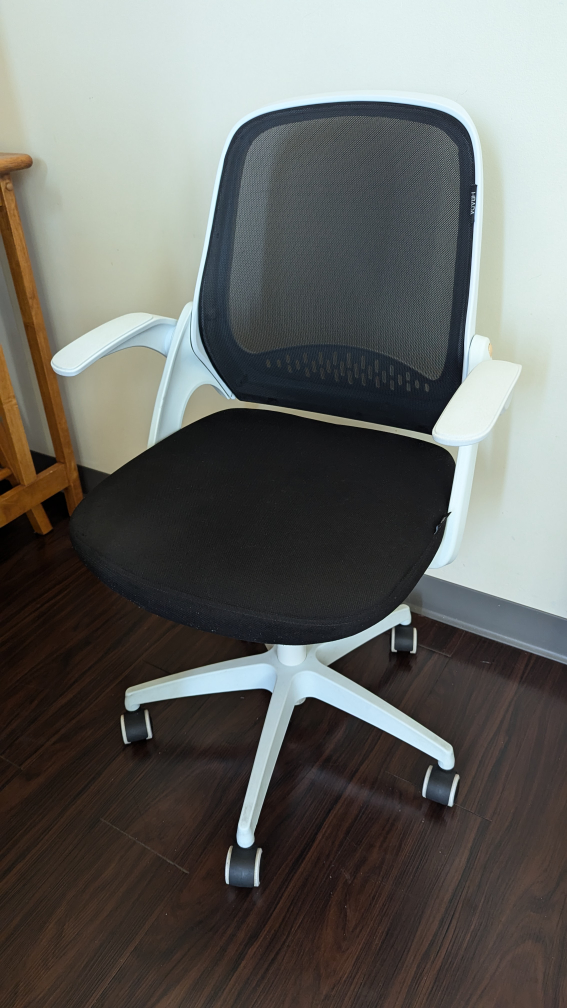 Mesh office chair