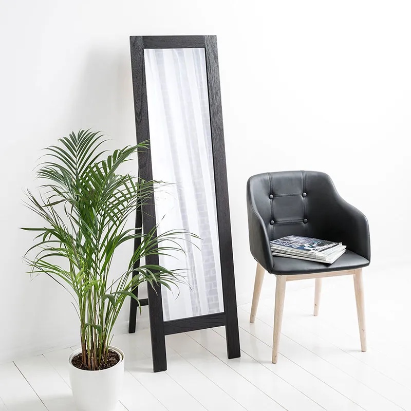 Full Length Standing Mirror