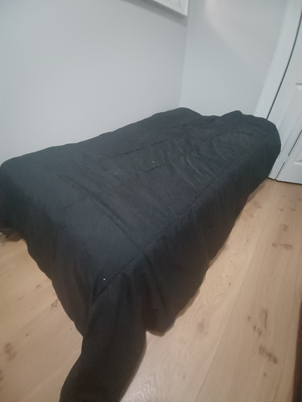 Free twin mattress and boxspring!