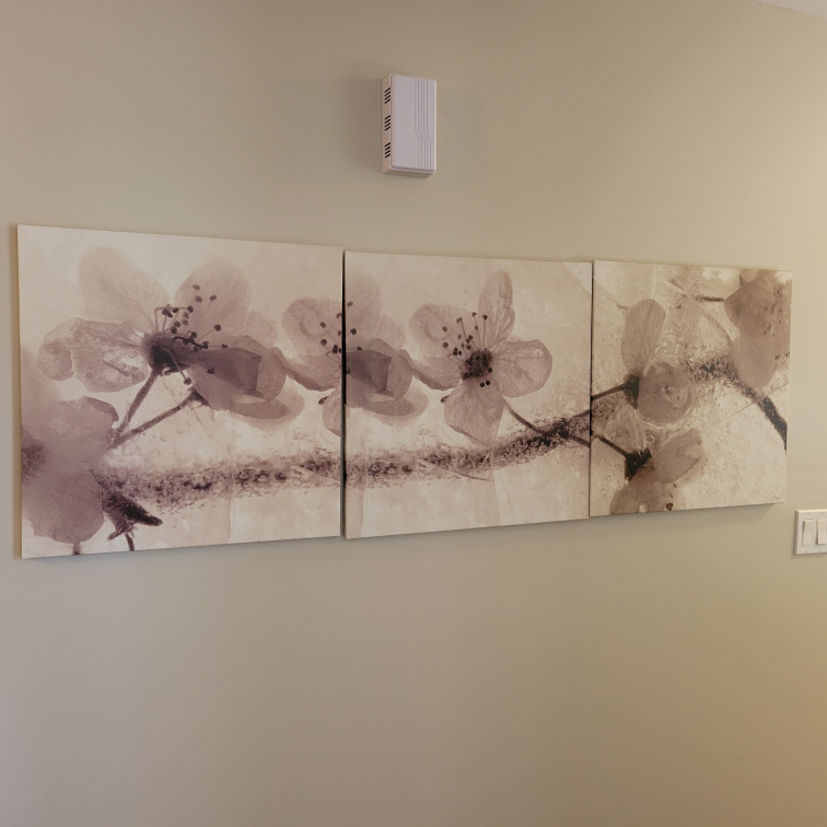 Triptych florals