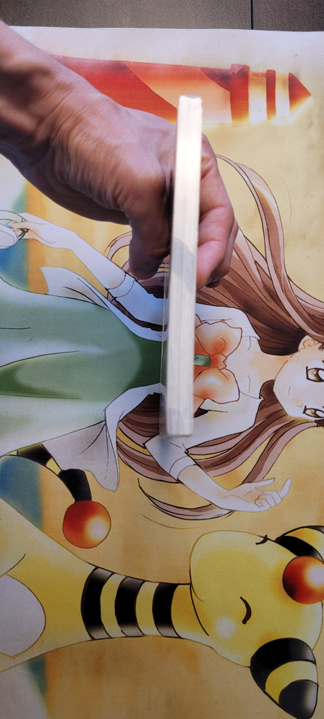NEW and SEALED X/1999 Graphic Novel Sonata by CLAMP - photo 3