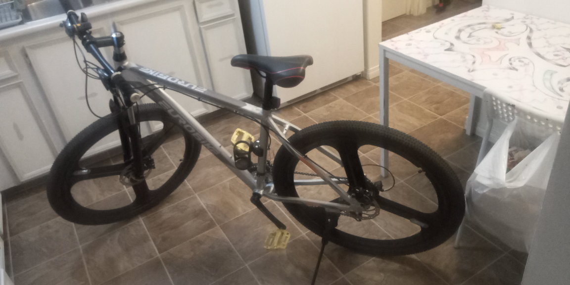 euro bike ,new