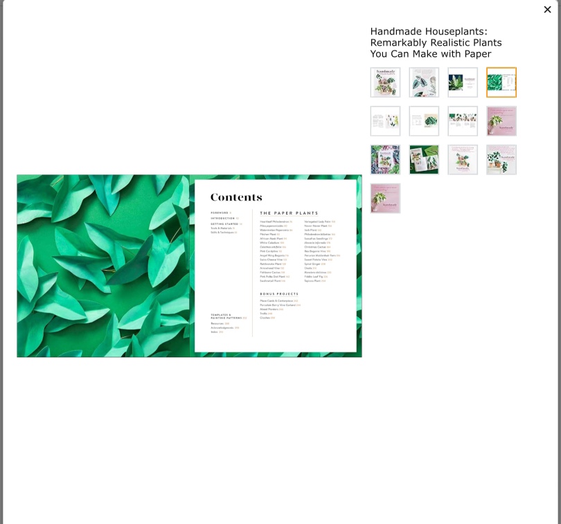 Handmade Houseplants Book image indicator(6)