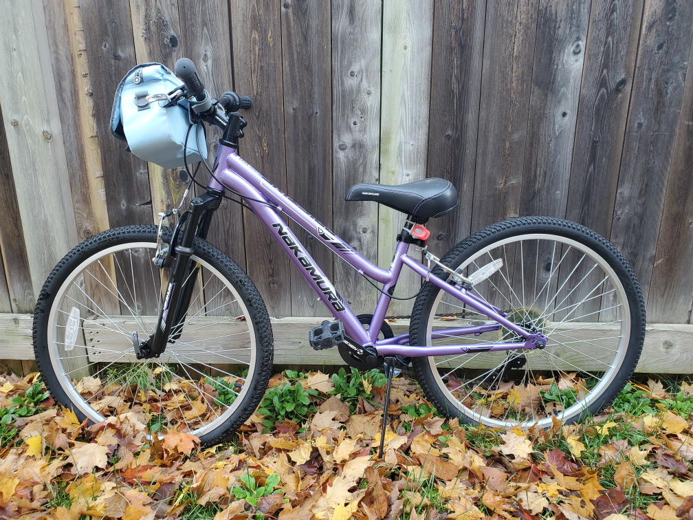 Nakamura 24" Girls' Bike