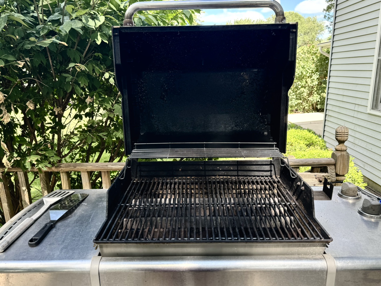 Weber Genesis Special Edition - photo 4