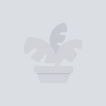 Plants, outdoor tables with chairs