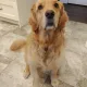 kbeaud79 profile