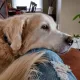 kvan profile