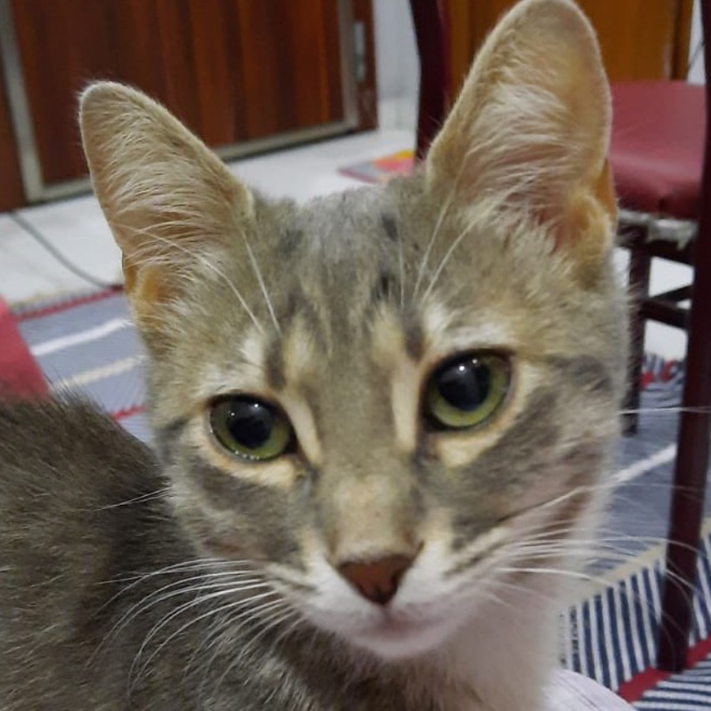 LucyY