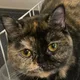 Rosie29 profile