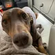 tracydare profile