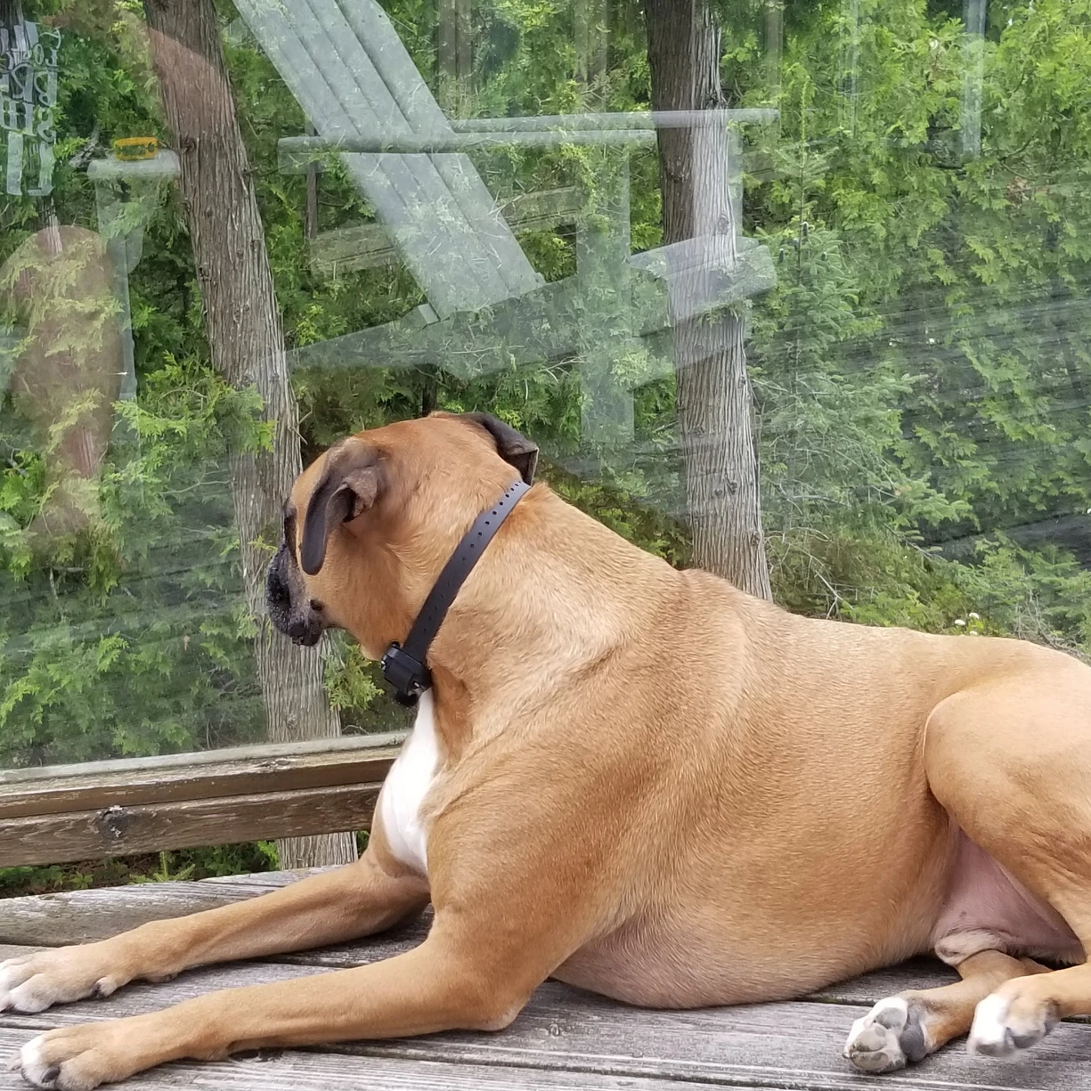 Bill profile