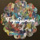Toysgurumi profile