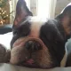 hellodimsum profile